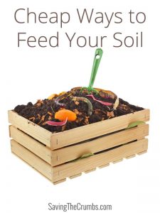 Feed Your Soil