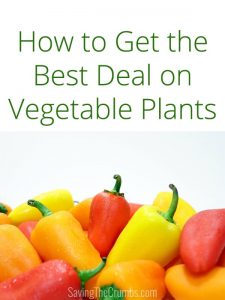 Vegetable Deals