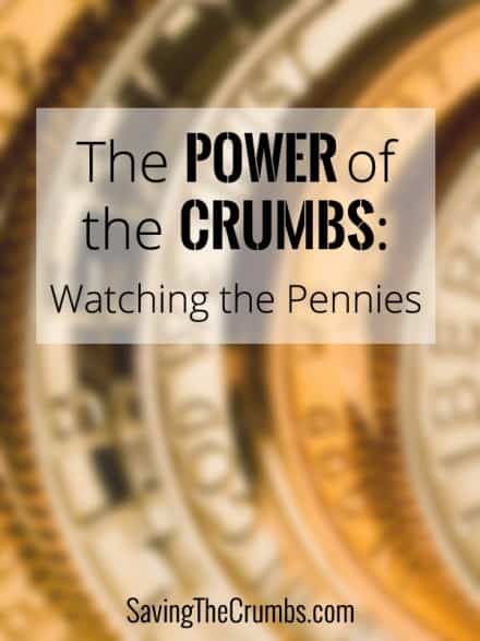 The Power of the Crumbs: Watching the Pennies