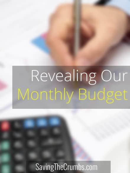 Revealing Our Monthly Budget
