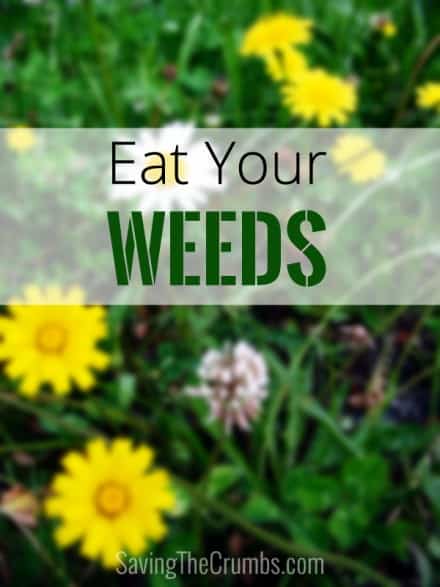 Eat Your Weeds