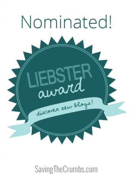 We’re Nominated for the Liebster Award!
