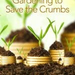 Gardening to Save the Crumbs