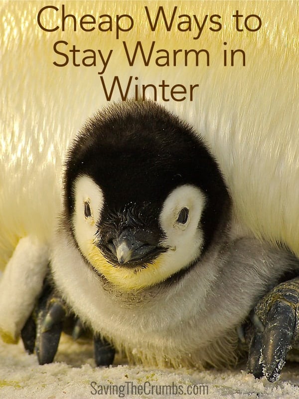 Cheap Ways to Stay Warm in Winter