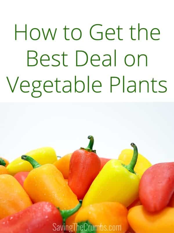 How to Get the Best Deal on Vegetable Plants