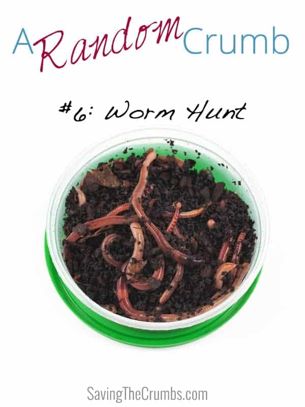 A Random Crumb #6: Worm Hunt