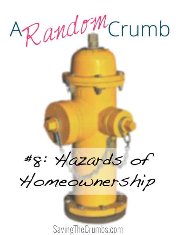 Random Crumb #8: Hazards of Homeownership